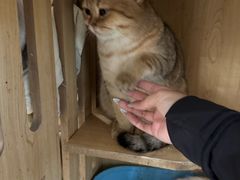 -共舞时光猫咖·狗咖(新街口店)