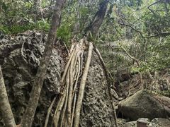 -七仙岭温泉国家森林公园