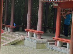 -赭山公园
