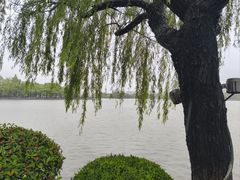 -东湖景区