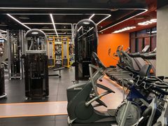 -健身专家Wellness Experts