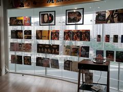 -浣熊唱片店(上海影城店)