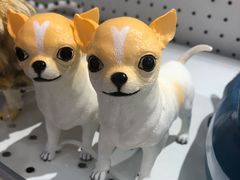 -TOYSRUS玩具反斗城(厦门中华城店)