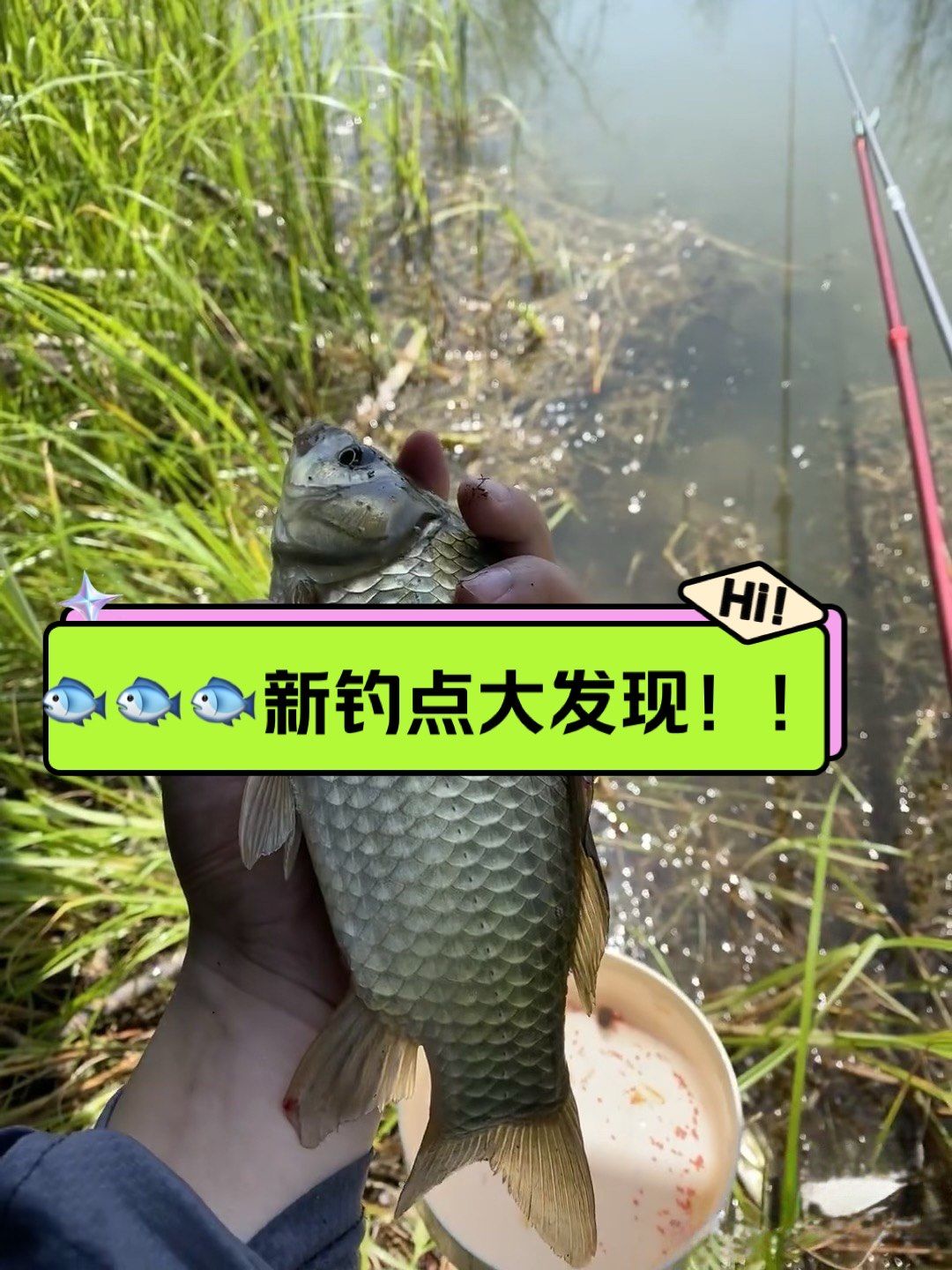 959595新钓点大发现!