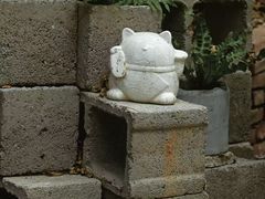 -溪岸路花鸟市场