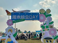 -空港花田景区
