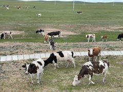 -呼和诺尔旅游景区