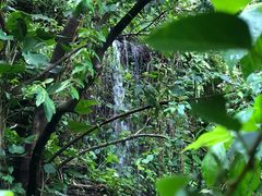 -水濂山森林公园