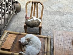 -悟饮门市景店