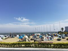 -碧海金沙
