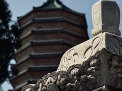 -八大处公园