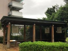 -金鸡山公园