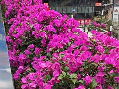 -龙湖重庆时代天街