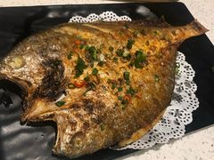 -九府羊·鲜羊火锅·烤串(新华路店)