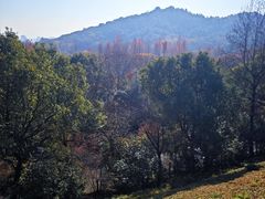 -西湖风景区-江洋畈生态公园