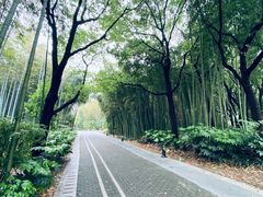 -苏州河梦清园环保主题公园