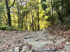 -雁荡山三折瀑景区