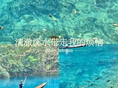 -小七孔景区东门售票处