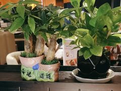 -半秋山西餐厅(巴南万达广场店)