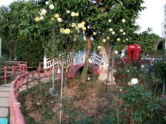 -广州花之恋城堡酒店