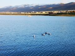 -青海湖国家重点风景名胜区