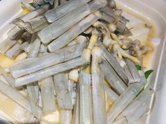 蛏子-盒马鲜生(大成店)
