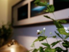 -茉莉花空中花园餐厅(义乌店)