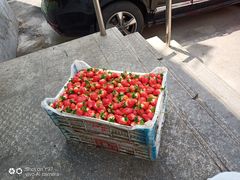 -刘全生鲜超市(南八马路店)