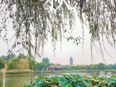 -西海子公园