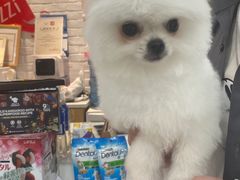 -帕帕拉兹宠物(亚洲旗舰店)