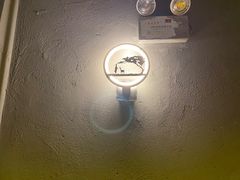 -伯爵·沉浸式超级密室·直营店