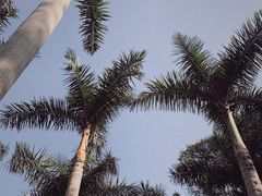 -荔香公园