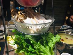 -龙聚德北京烤鸭(沙坪坝华宇A馆店)