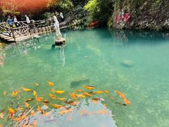 -雁荡山风景名胜区