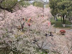 -南京城墙景区