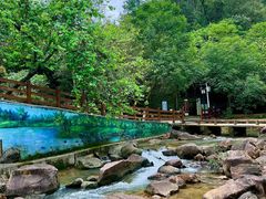 -广州白江湖森林公园