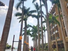 -亚龙湾红树林度假酒店-韩轩韩餐厅