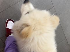 -联合动物医院(光谷诊疗中心)