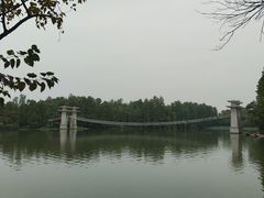 -东湖落雁景区