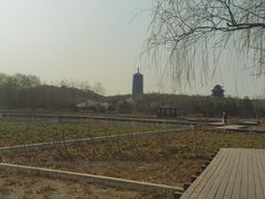 -永定河休闲森林公园