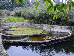 -成都市活水公园