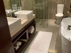 -常州环球恐龙城维景国际大酒店