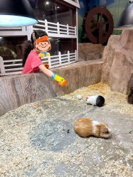 -宝燕乐园(闵行旗舰店)