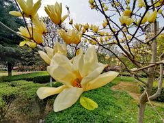 -白塘生态植物园