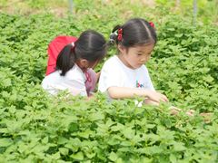-金豆子幼稚园