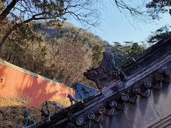 -潭柘寺景区