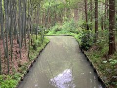 -同里国家湿地公园