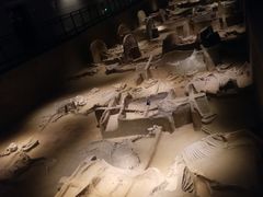 -洛阳周王城天子驾六博物馆