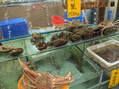 -寻味顺德·南记酒家·传统顺德菜·鱼生(广源路店)