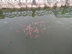 -华夏文旅西安度假区